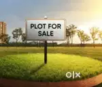 Argent for sale