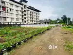 ആലുവ ദേശം ഗാന്ധിപുരം സ്റ്റോപ്പ് അടുത്തായി 7.250സെന്റ് cent 3.60lakh