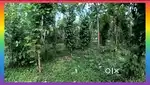 25000 Per Cent 2 Acre Land in Wayanad. രണ്ട് ഏക്കർ വിലക്കുറവിൽ