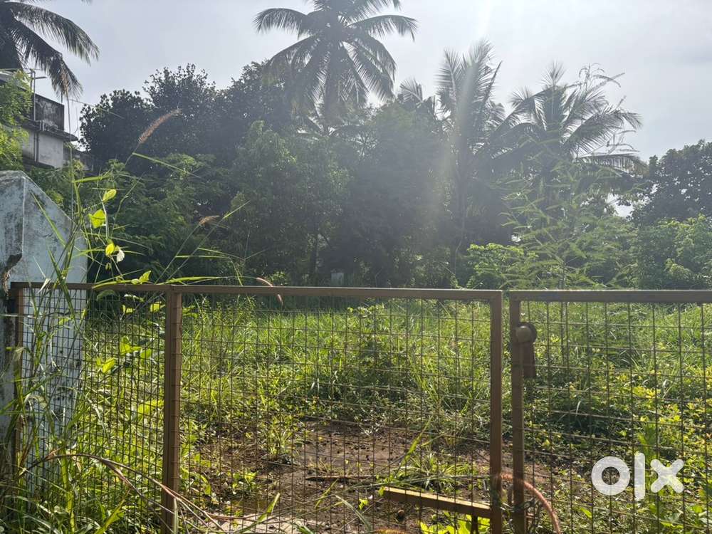 11Cent plot in Pappadi