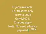 Software developer