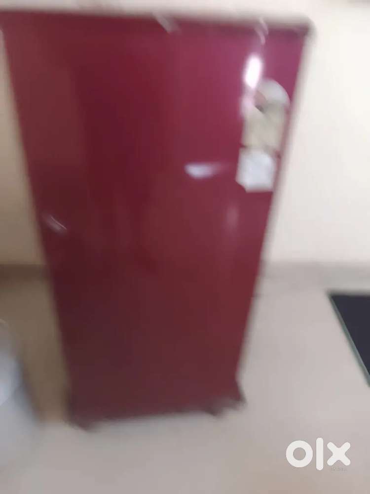 Fridge Electronic