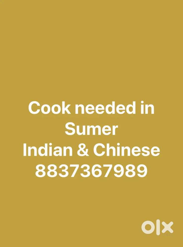 Looking for a cook Indian & Chinese in sumer bhoi