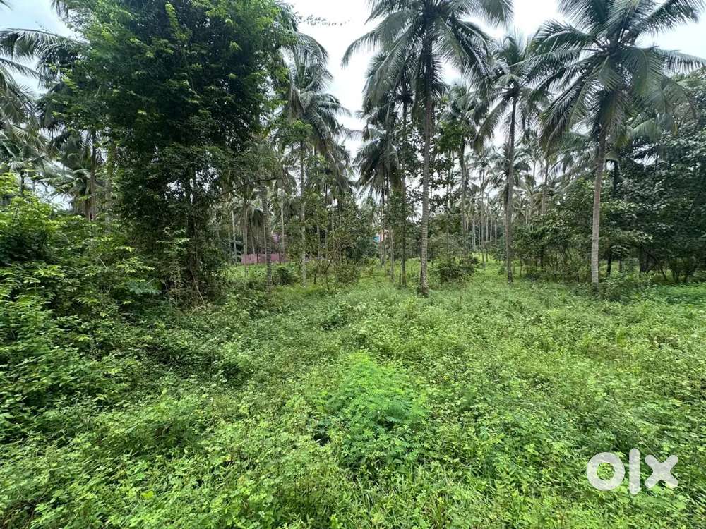 12 Cent Plot for Sale