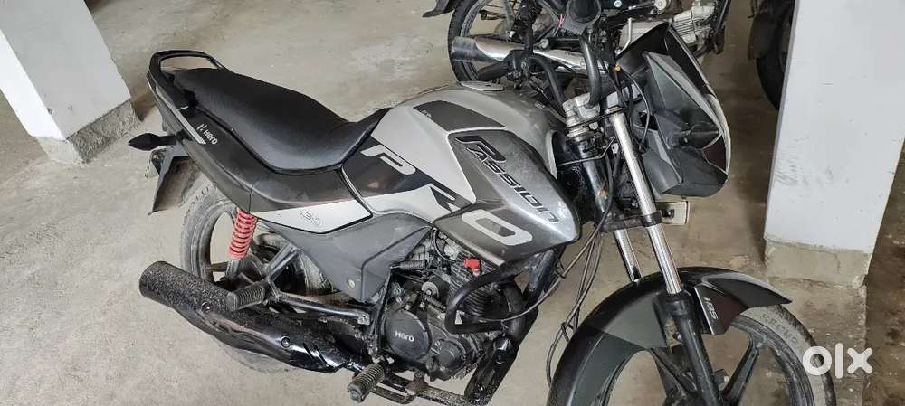 Passion pro