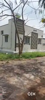 Land for sale in kinathukadu.kodavadi
