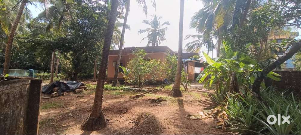 23cents 2bhk independent house at dodonagude near baliga hospital 85lc