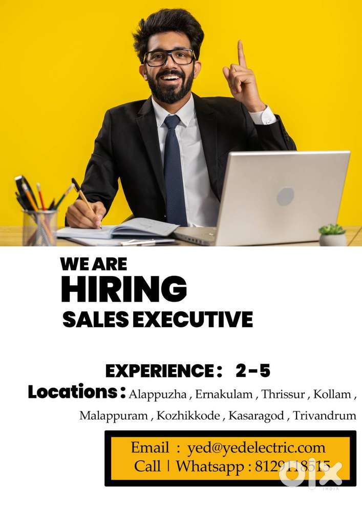 Sales Executive