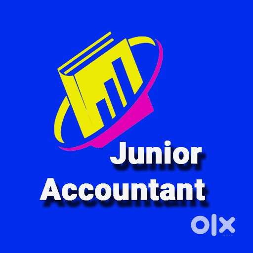 Junior Accountant