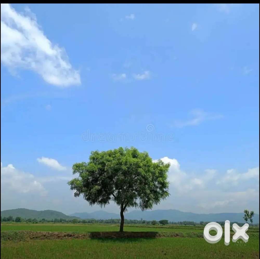 ১.৫ জায়গা বিক্রয় হবে। ২য় Plot চার হাত রাস্তা।।