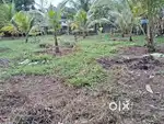 Pakkil- Residential Plot- 15 Cent- 6534 sqft- 3.25 Lakhs/Cent.
