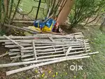 BADHE KA ITEM