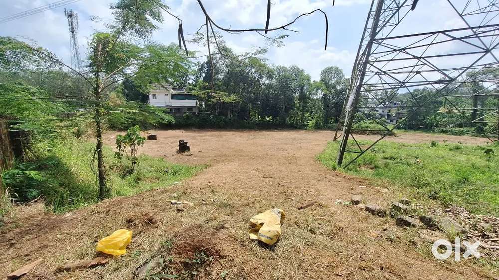 Muvattupuzha paingottoor thennathor 70 cent for sale