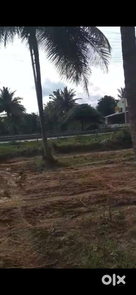 15 guntas property