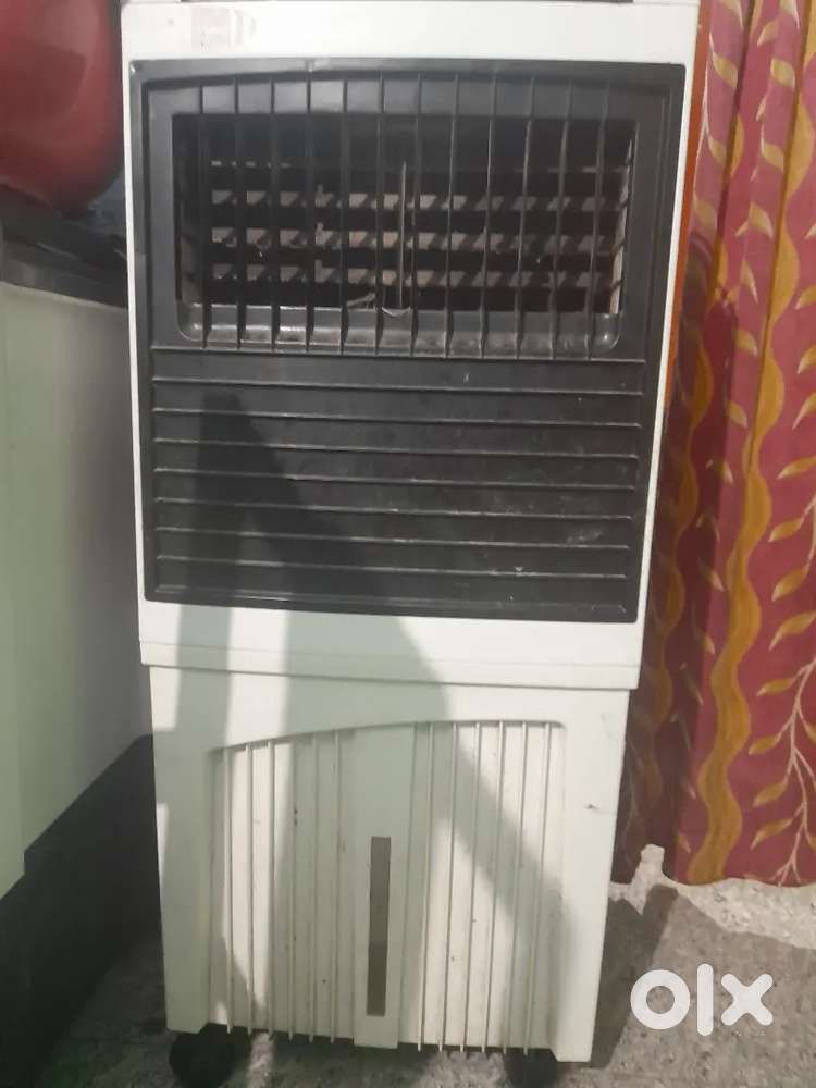 Cooler 2 year old