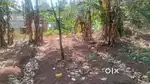 NH HIGH 300 METER