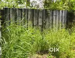 6.500 CENTS PRIME RESIDENTIAL PLOT FOR SALE NEAR KURAVANKONAM