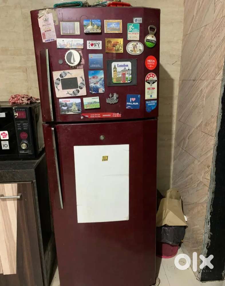 Double Door  290 Liter Fridge LG Brand