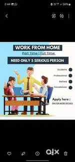 Online  work from home  male / female