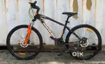 Ninety one leopard 27.5