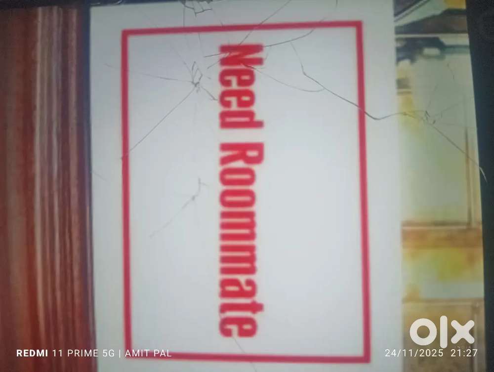 Required ladies room mate