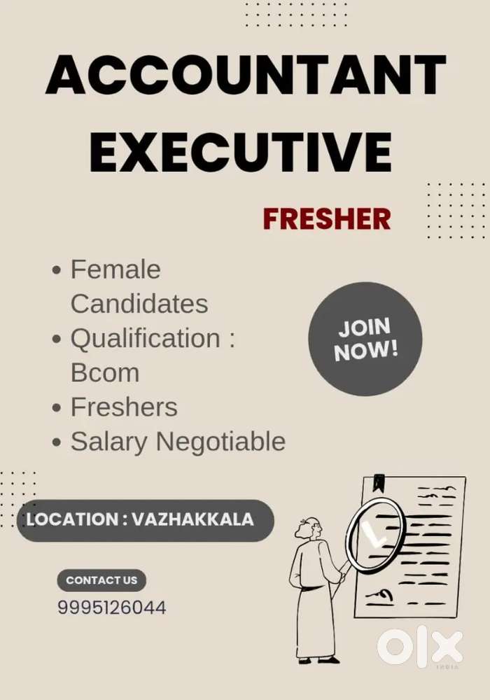Wanted - Accountant Executive