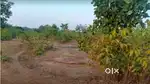 Dhamtari me beltra, soram bhatagaaon ke pass 5 acre jameen bechna hai