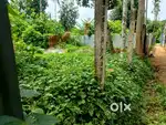Ongc panchamukhi shymapalli.2.25gonda land sell hobe.car dhukbena
