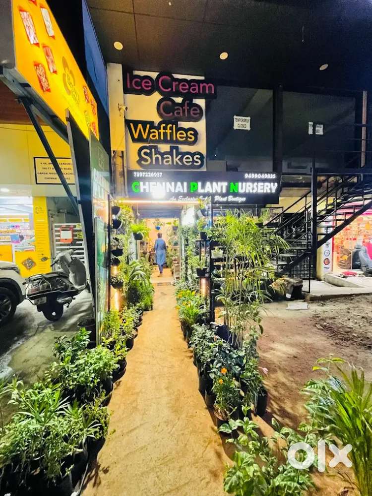 Sales cum Shop assistant