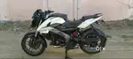 Pulsar ns 160 2024 white