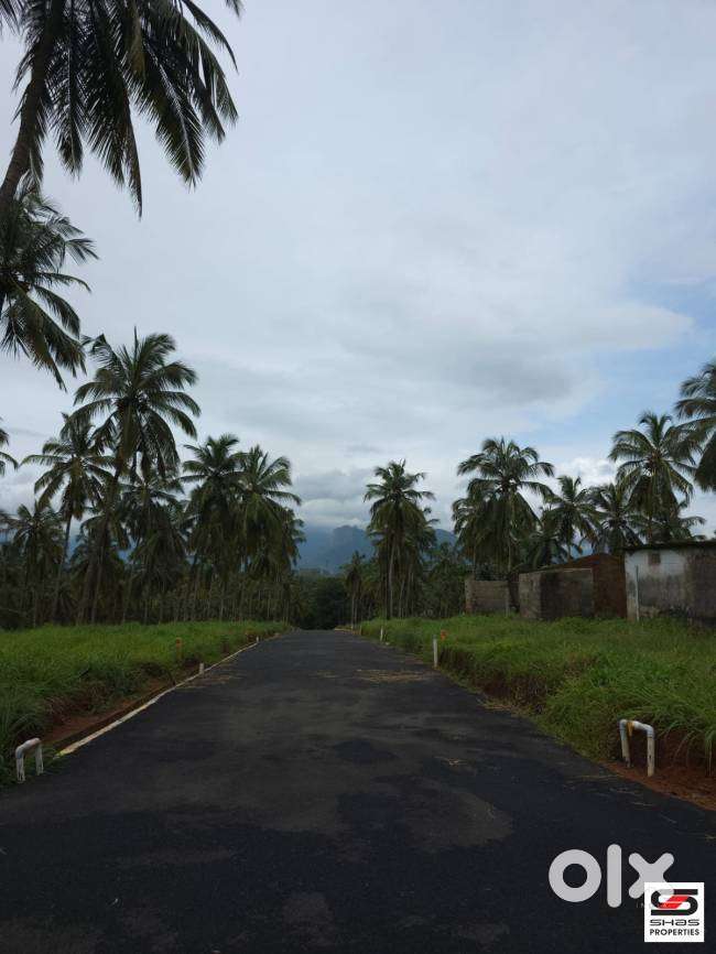 8 Cent House plot for sale in Viyyakurissi,Palakkad