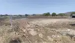 Agriculture Land For Sale