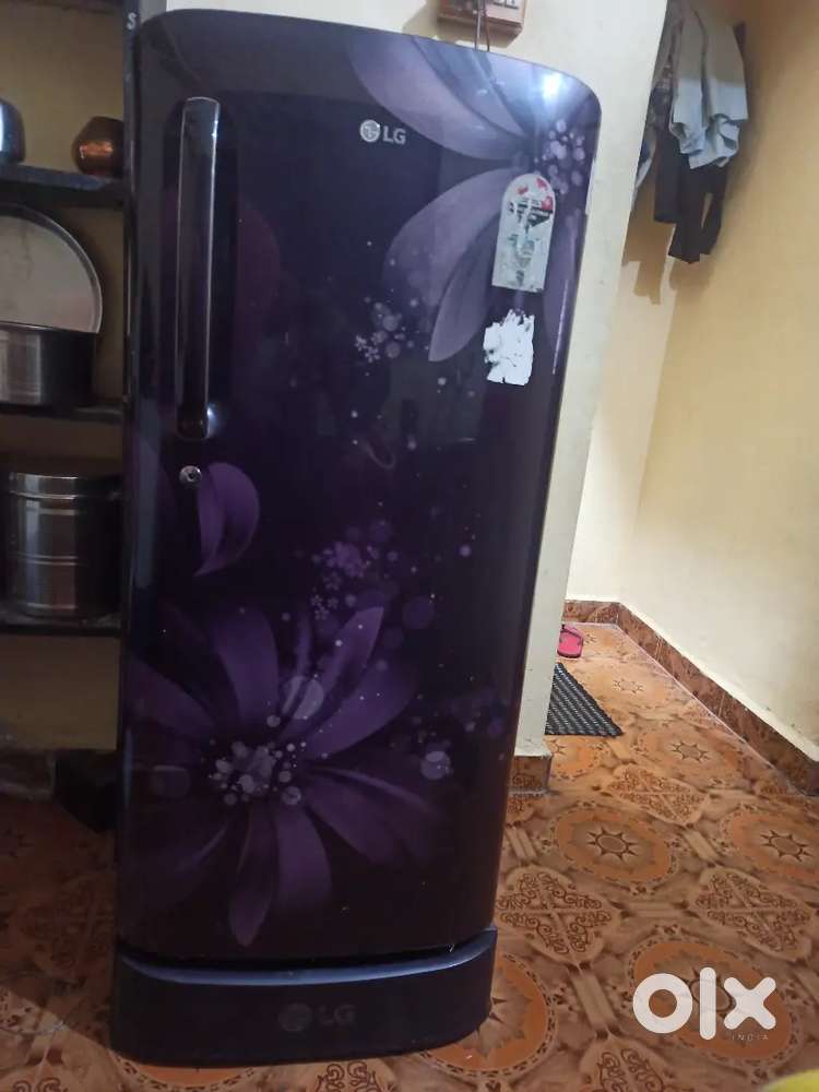 Fridge / Refrigerator