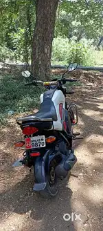 Honda Navi