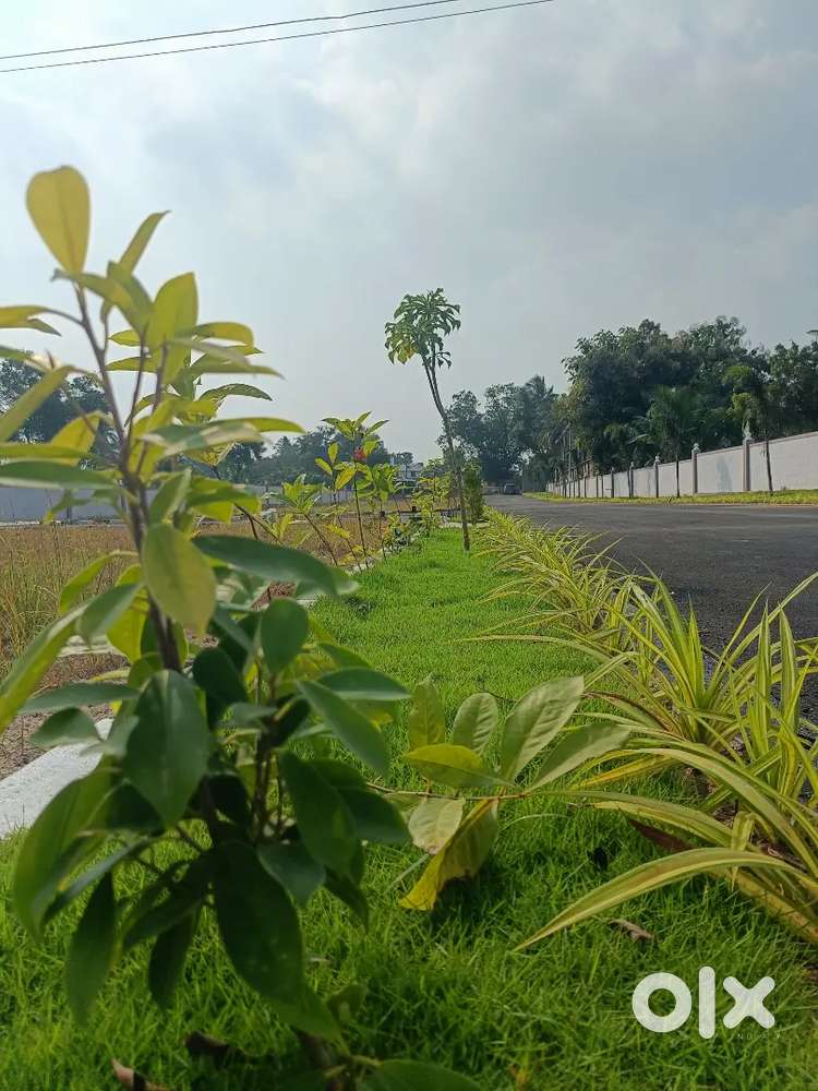 Dtcp Approved Plots gated community villas