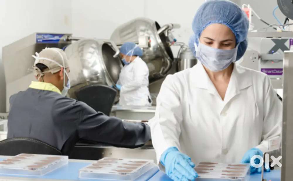 FACTORY में पैकिंग लड़के लड़कियों की आवश्यकता है