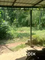 11 cent land