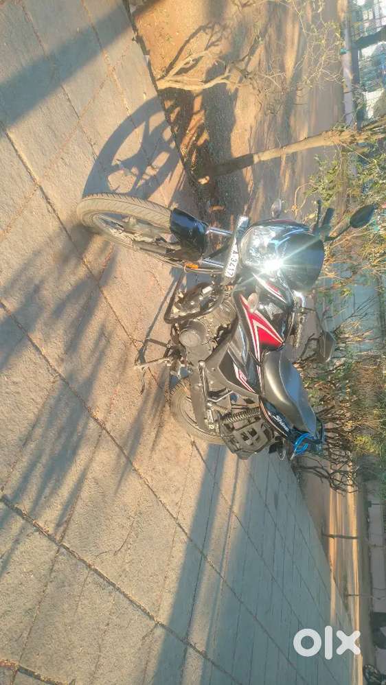 Honda shine 14 months older bike