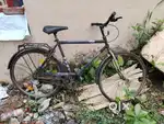 BSA SLRD bicycle for Men