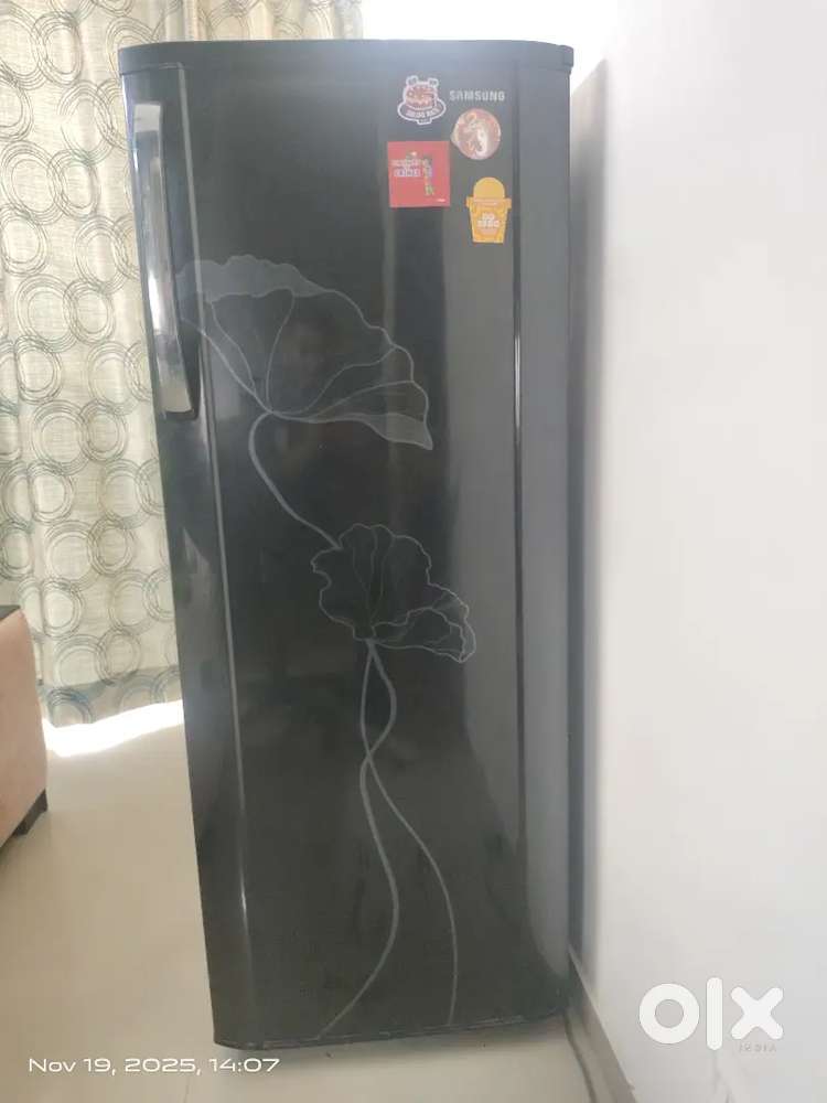 Samsung Single-Door Refrigerator – Floral Design