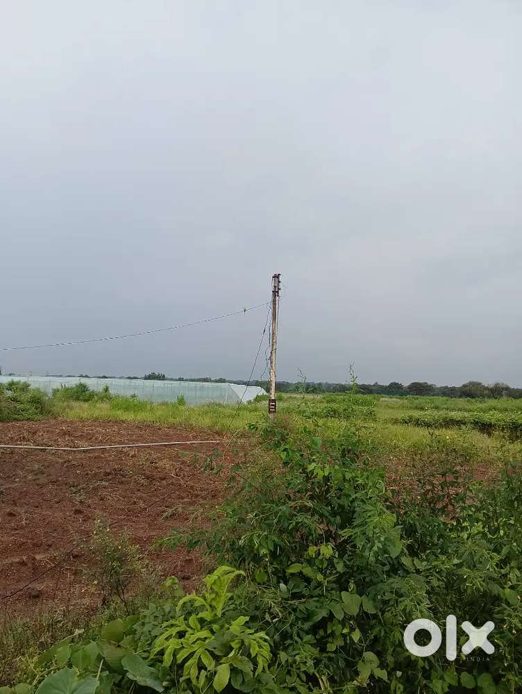 10.5 acres land available for rent.Very good for farming.drip system