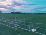 Residential plot for sale ( Miyadi)