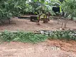 10 acre plot for sale
