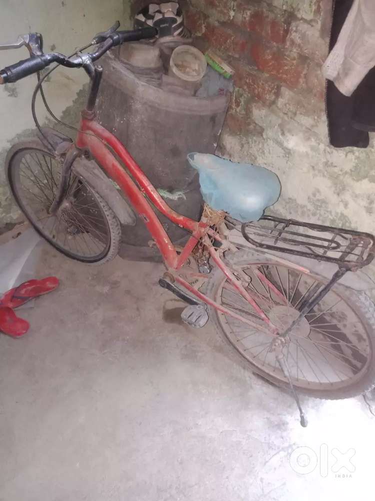 Renger cycle