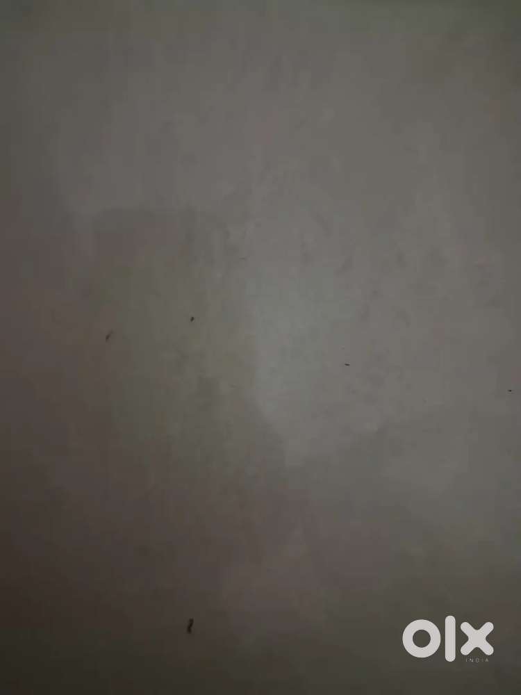 Home tuition , online/offline