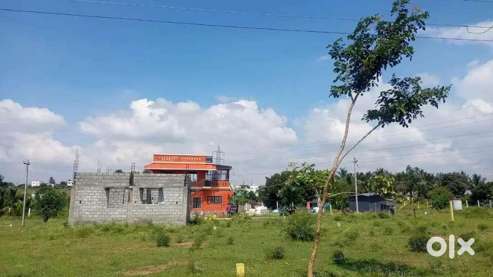 Best investment at Kinathukadavu