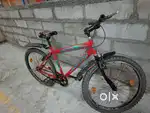 afro python cycle