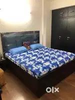 Single occupancy available for Boys in a highly posh society in Noida!