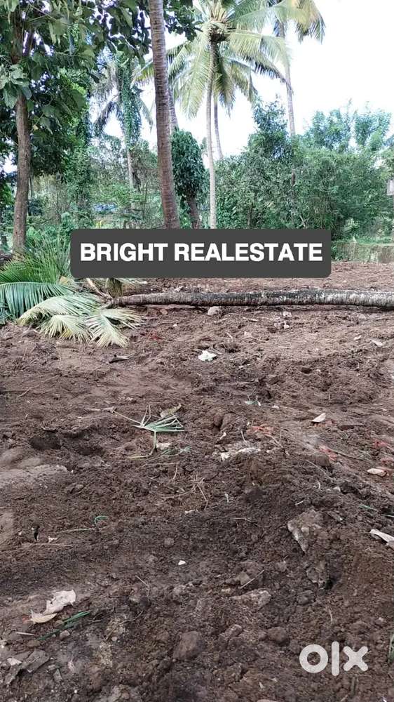 17 Cent Square Waterfront Plot – Original Land ₹7.5 Lakh/Cent