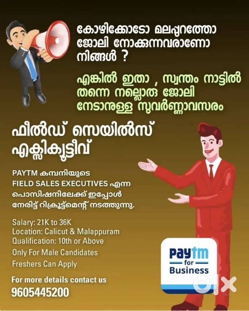 Requires Sales Executive